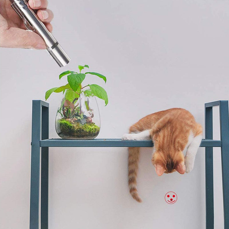 laser toy for cats