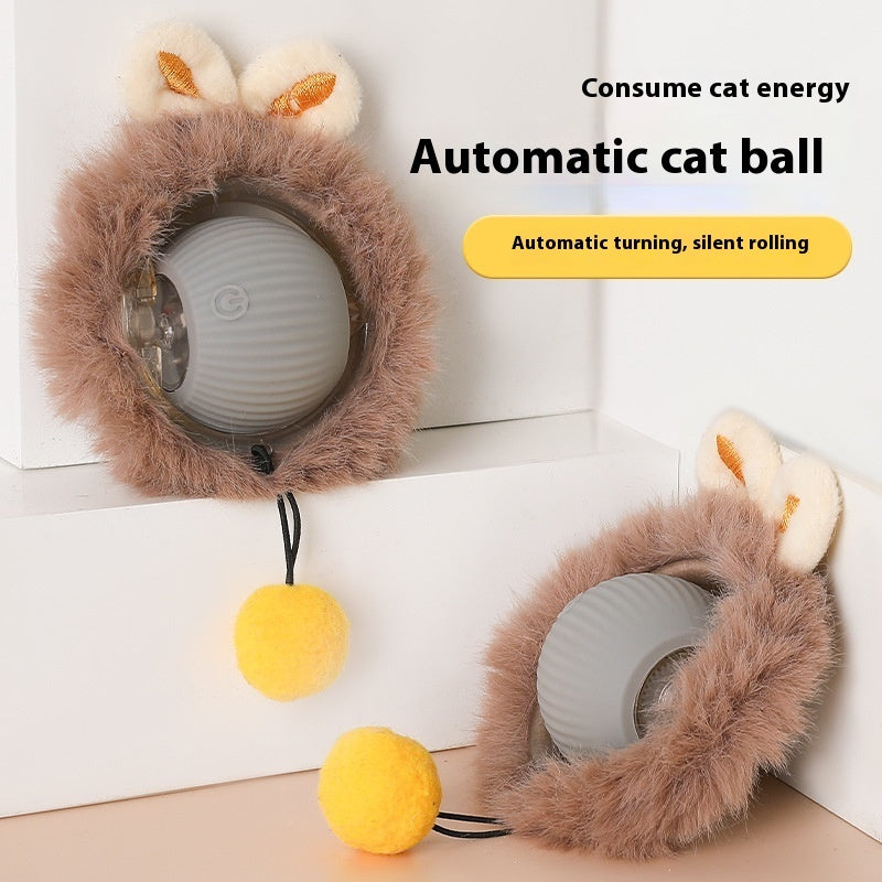 toys for your pets