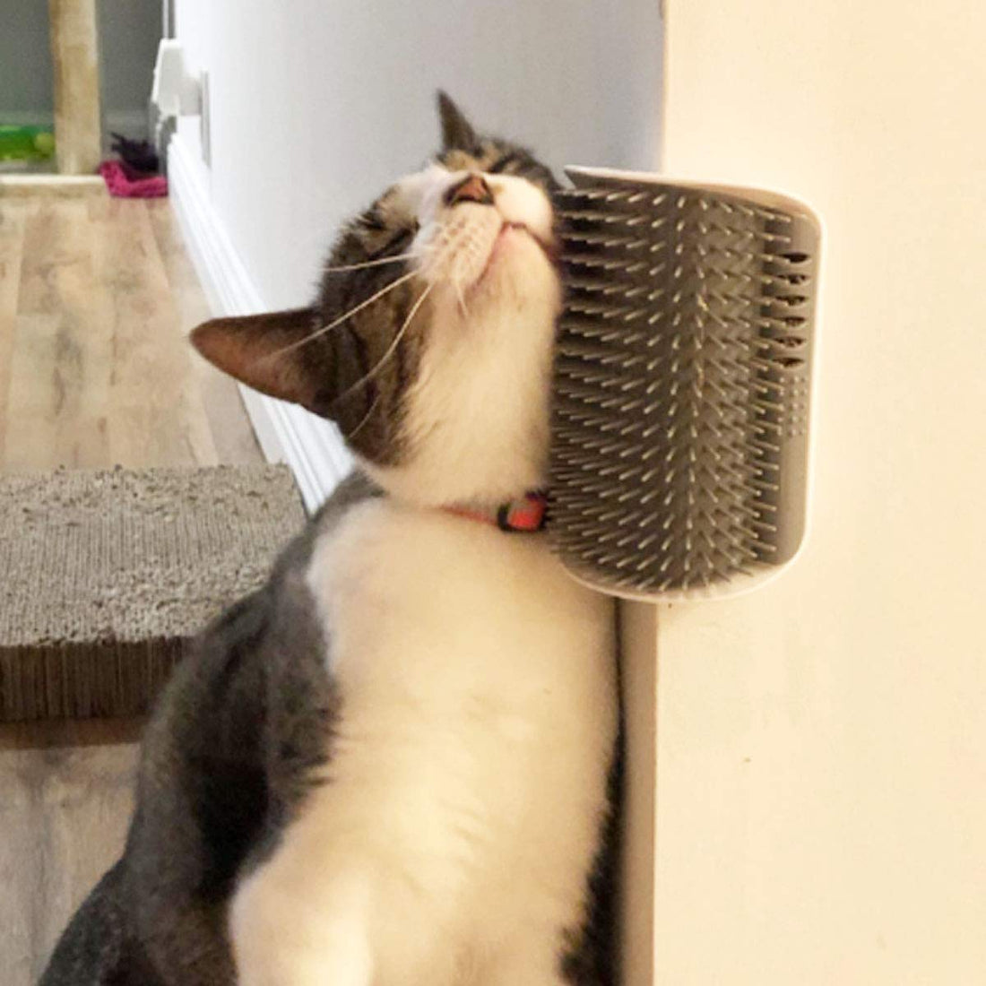 HappyCat Grooming Arch  Self-Cleaning Brush Cats Love